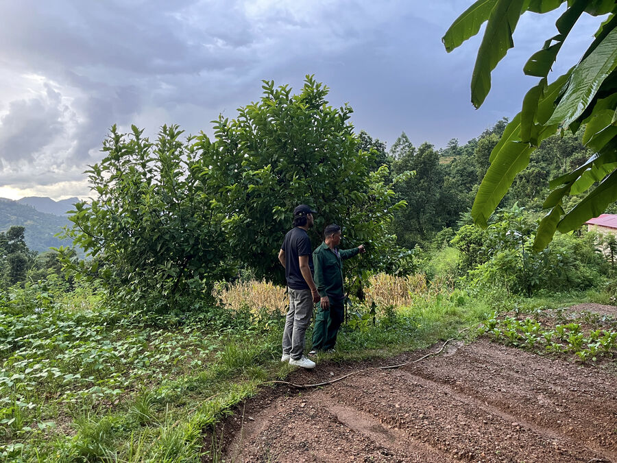 Exploring the farm's fields