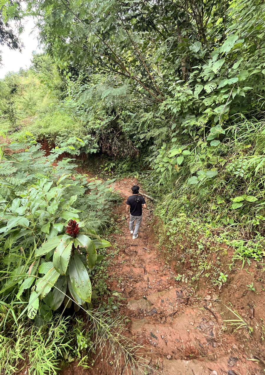 Walking a forest trail near the farm
