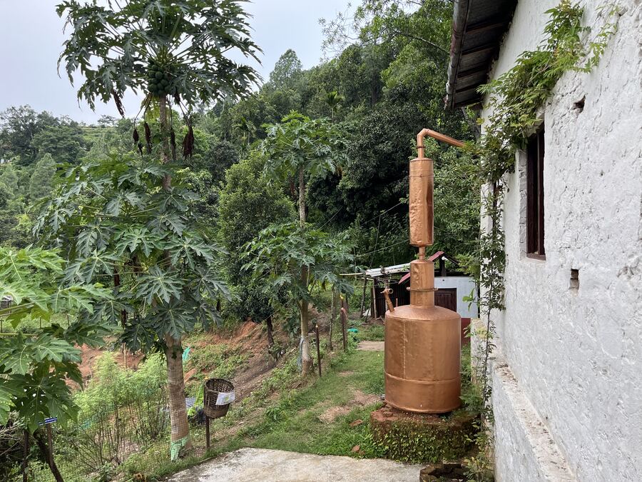 Orchards and kitchen gardens