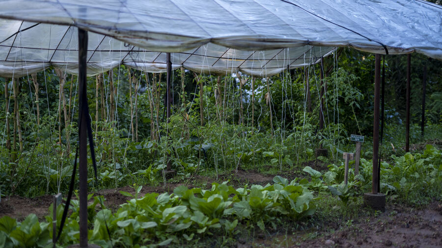 Orchards and kitchen gardens