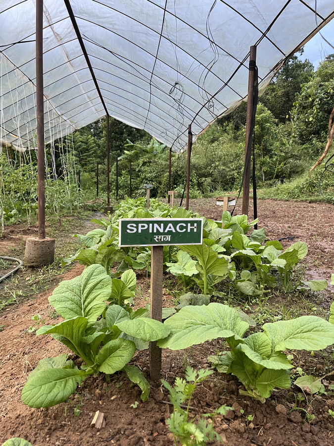 Orchards and kitchen gardens