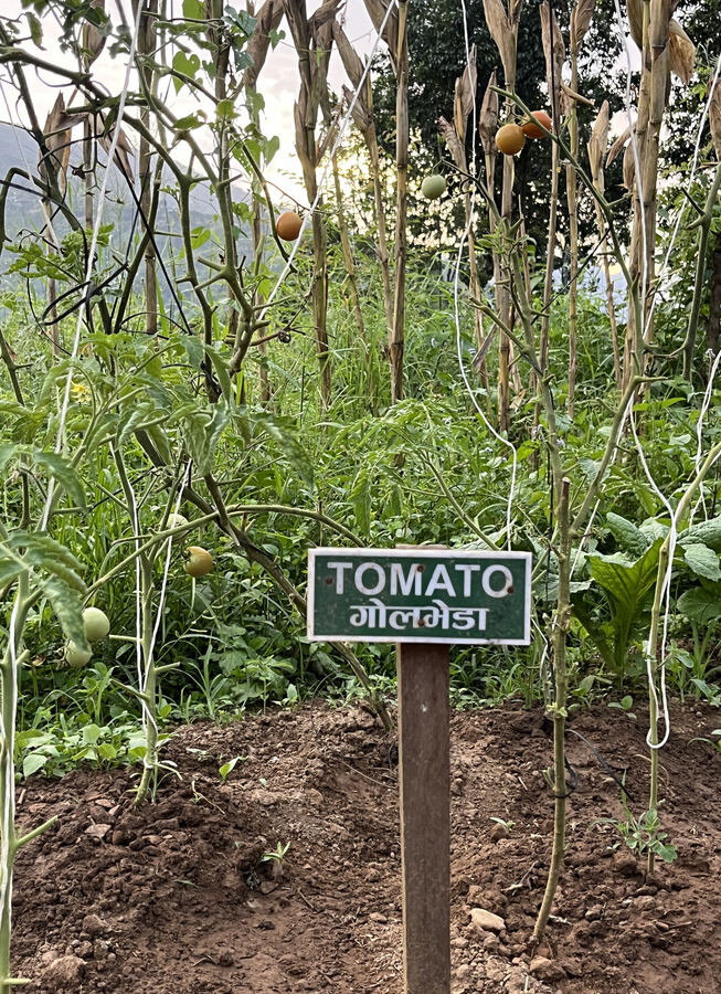 Orchards and kitchen gardens