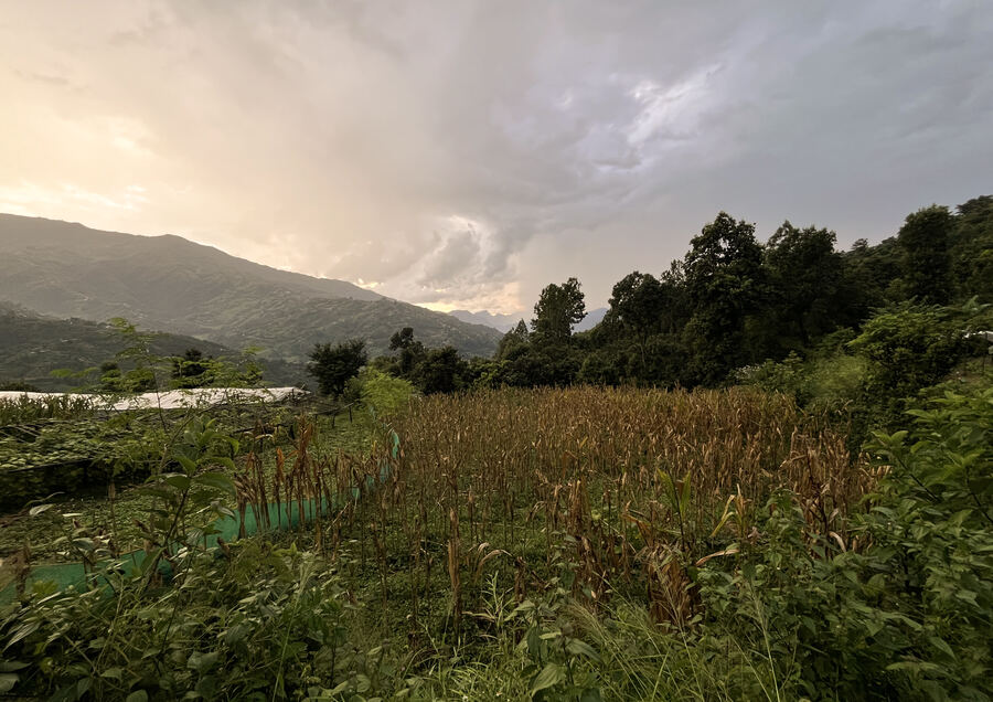 Hills and valleys around the farm